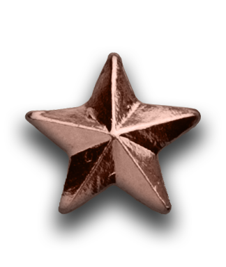 Bronze Stars