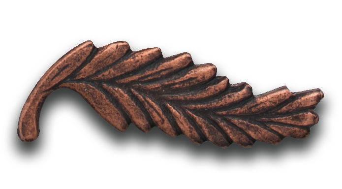 Palm Device