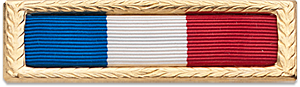 Ribbon image