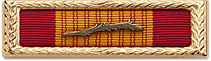 Ribbon image