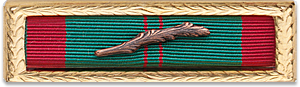 Ribbon image
