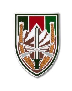 USAE US Forces - Afghanistan CSIB