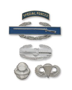 Army mirror-like finish Full-Size Skill & Combat Badges