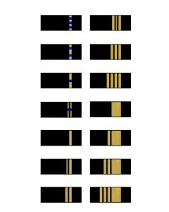 Navy Sleeve Lacing Kit