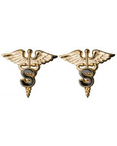 Medical Specialist Corps Officer Branch Insignia