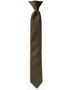 AGSU Clip-on Tie