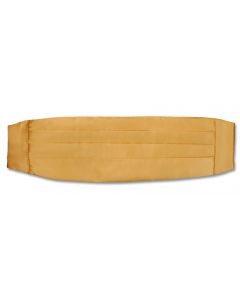 Female Gold Cummerbund - Adjustable