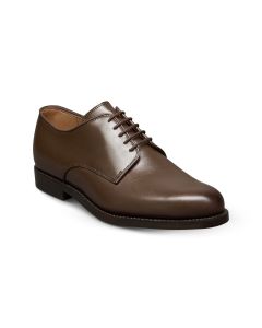 AGSU Legacy Derby Male Brown Leather Shoe