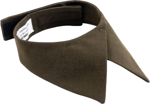 Heritage green AGSU neck tab